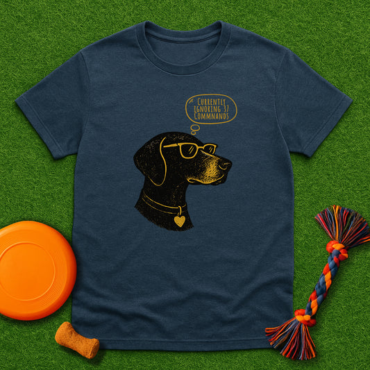 Currently Ignoring 37 Commands GSP T-Shirt