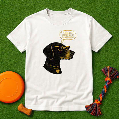 Currently Ignoring 37 Commands GSP T-Shirt